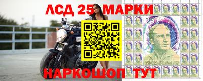 гидра Камышлов