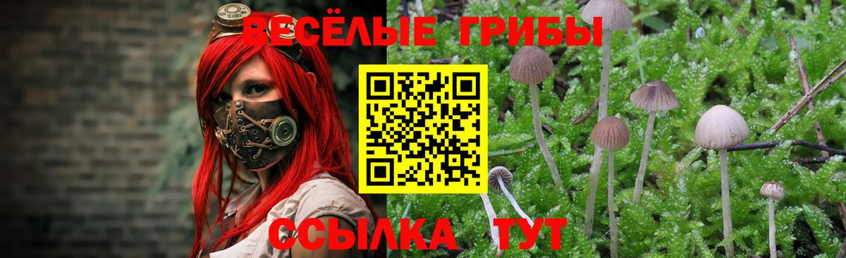 Псилоцибиновые грибы мицелий  Вход с VPN  Ухта  Псилоцибиновые грибы Cubensis 